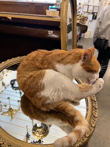 Antique Store «Architectural Antiques Of Indianapolis», reviews and photos, 5000 West 96th Street, Indianapolis, IN 46268, USA