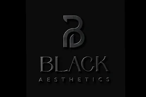 Black Aesthetics image