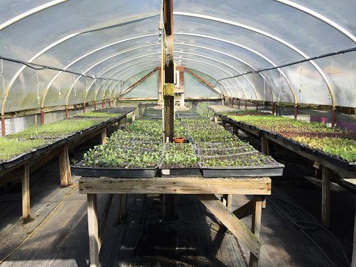 Farm «Sweetwater Organic Community Farm», reviews and photos, 6942 W Comanche Ave, Tampa, FL 33634, USA