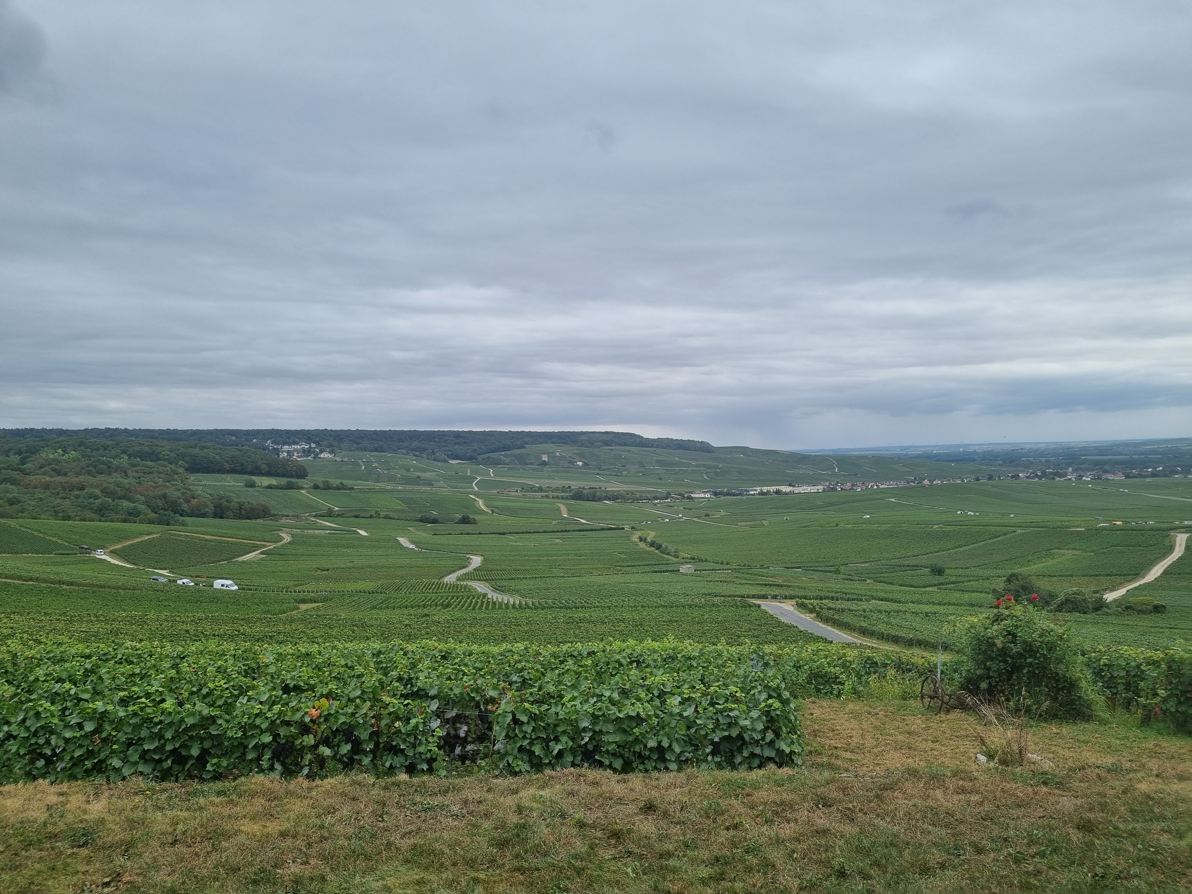 Photo n° 1 de l'avis de Bastiaan. fait le 17/09/2023 à 09:31