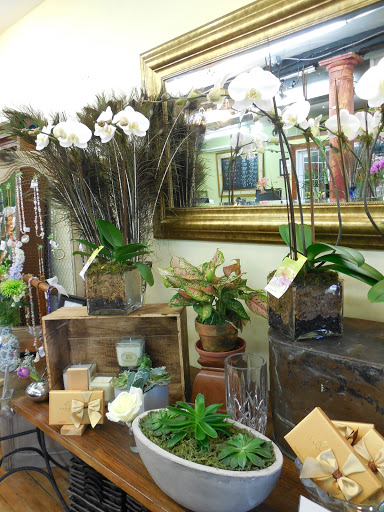 Florist «East Hampton Florist», reviews and photos, 69 N Main St, East Hampton, NY 11937, USA