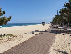 Gyeongpo Beach'in fotoğrafı - rahatlamayı sevenler arasında popüler bir yer