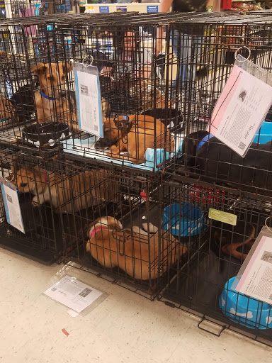 Pet Supply Store «PetSmart», reviews and photos, 1160 Stafford Market Pl, Stafford, VA 22556, USA