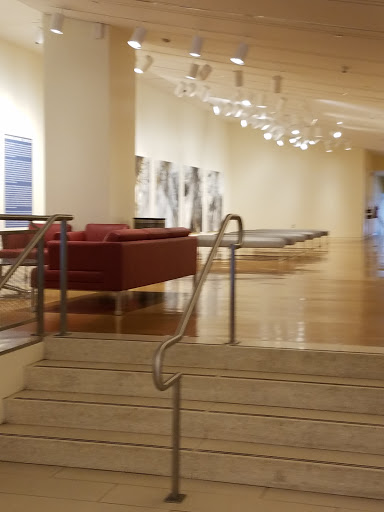 Neuberger Museum of Art image 3