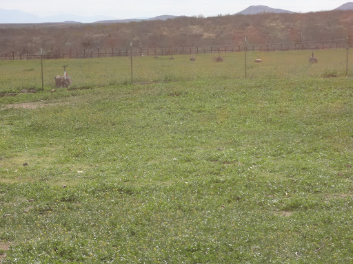 Museum «Slaughter Ranch Museum», reviews and photos, 6153 Geronimo Trl, Douglas, AZ 85607, USA