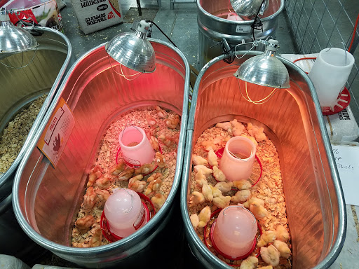 Home Improvement Store «Tractor Supply Co.», reviews and photos, 405 SE Oralabor Rd, Ankeny, IA 50021, USA