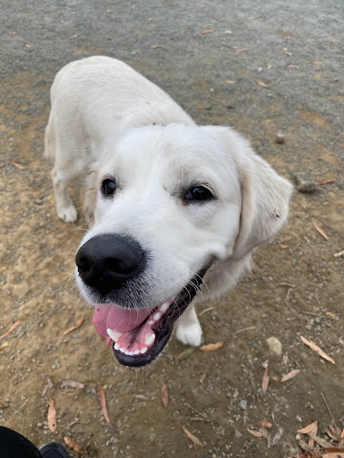 Park «Eugene Simpson Stadium Park», reviews and photos, 426 E Monroe Ave, Alexandria, VA 22301, USA