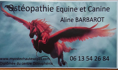 Barbarot Aline ostéopathe animalier Hautes Alpes à Chorges