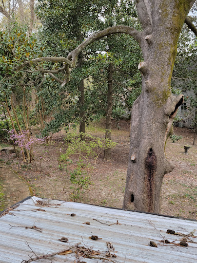 Tourist Attraction «McRaven Tour Home», reviews and photos, 1445 Harrison St, Vicksburg, MS 39180, USA