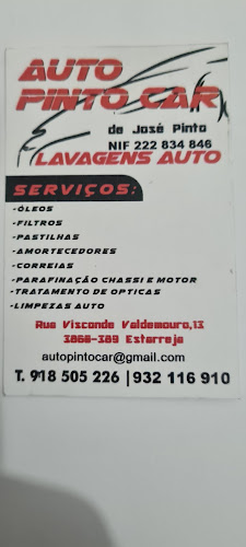 Auto Pinto Car Lavagens Auto - Estarreja