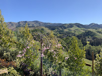 Del Monte Group, LLC - Financial Planner - Photo 2 - Car repair in Alamo, CA, Antioch