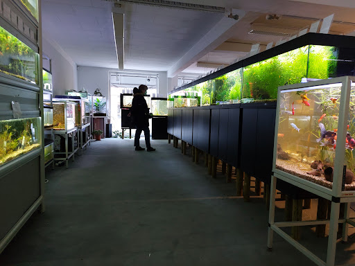 Akvariebutikken Fik'ken in Butik Heddinge, Stevns