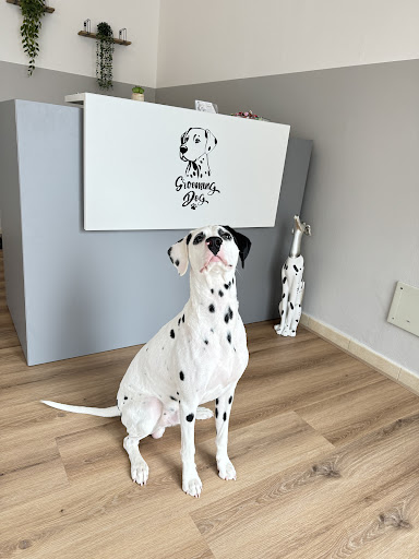 Pensioni per cani e dog hotel a Grooming Dog toelettatura di Basilico Paolo