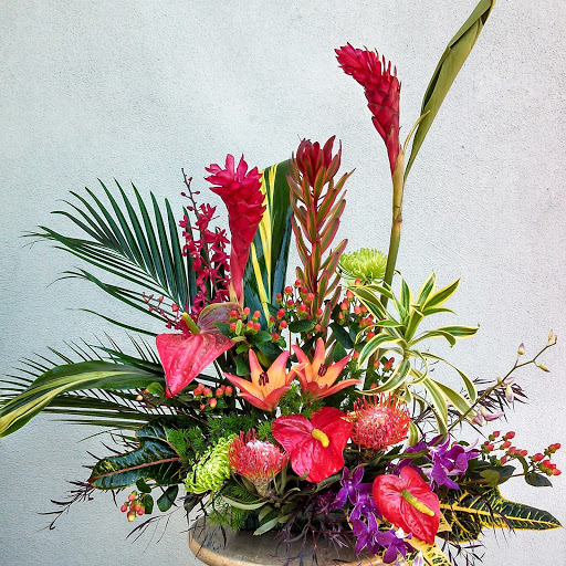 Florist «Rainbow Flowers», reviews and photos, 1070 University Ave, San Diego, CA 92103, USA