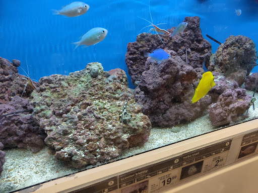 Pet Supply Store «Petco Animal Supplies», reviews and photos, 201 N Summit Ave, Lewisville, TX 75067, USA