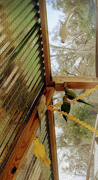 Pikapet Petshop & Sanctuary - Photo 9 - Car repair in Tallahassee, FL, Tallahassee