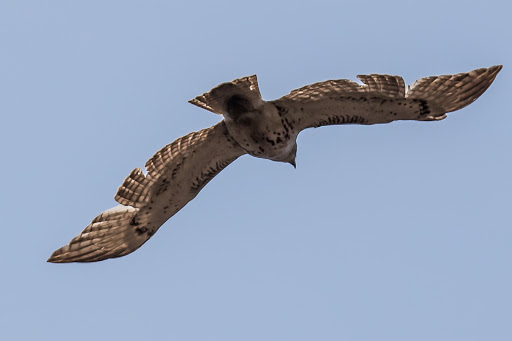 State Park «Valley Stream State Park», reviews and photos, Valley Stream State Park Rd, Valley Stream, NY 11580, USA