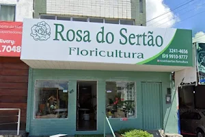 Rosa do Sertão Floricultura Maceió/AL-Brasil image