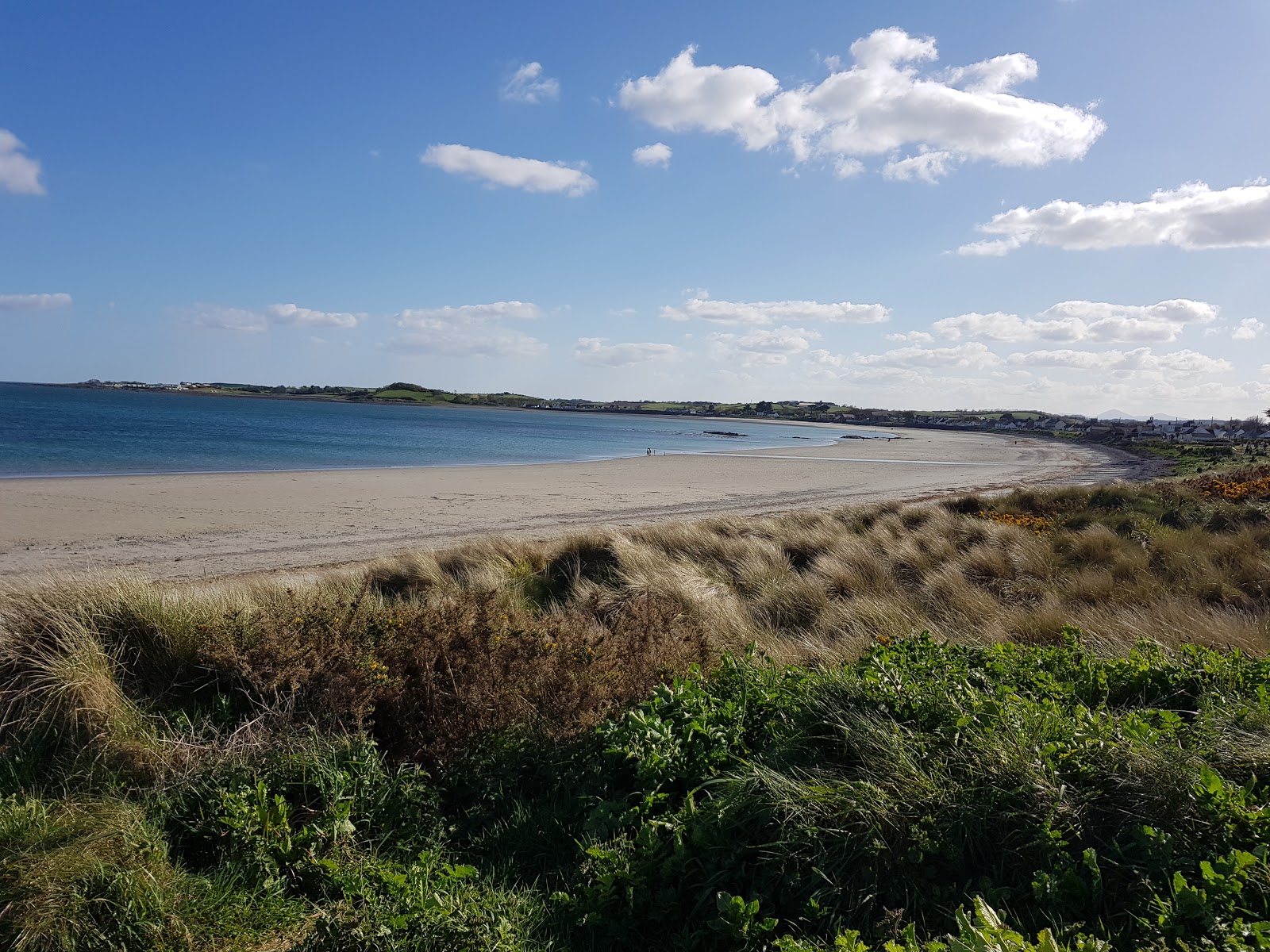 Foto de Cloughey Bay Beach com #44