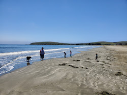 Φωτογραφία του Doran Beach με επίπεδο καθαριότητας αρκετά καθαρό