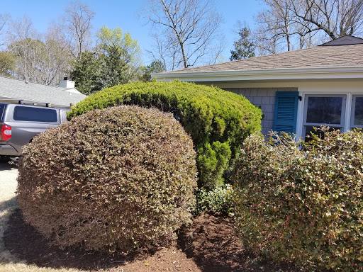 Country Club «Cape Fear Country Club», reviews and photos, 1518 Country Club Rd, Wilmington, NC 28403, USA