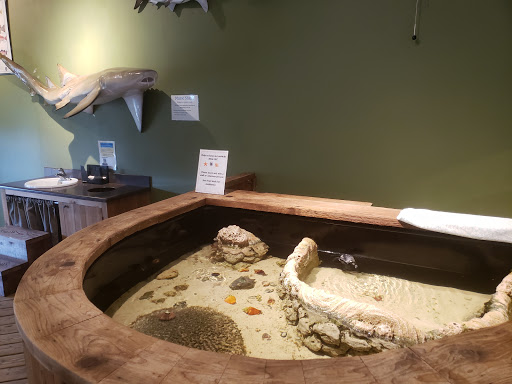 Aquarium «The River Center», reviews and photos, 805 US-1, Jupiter, FL 33477, USA