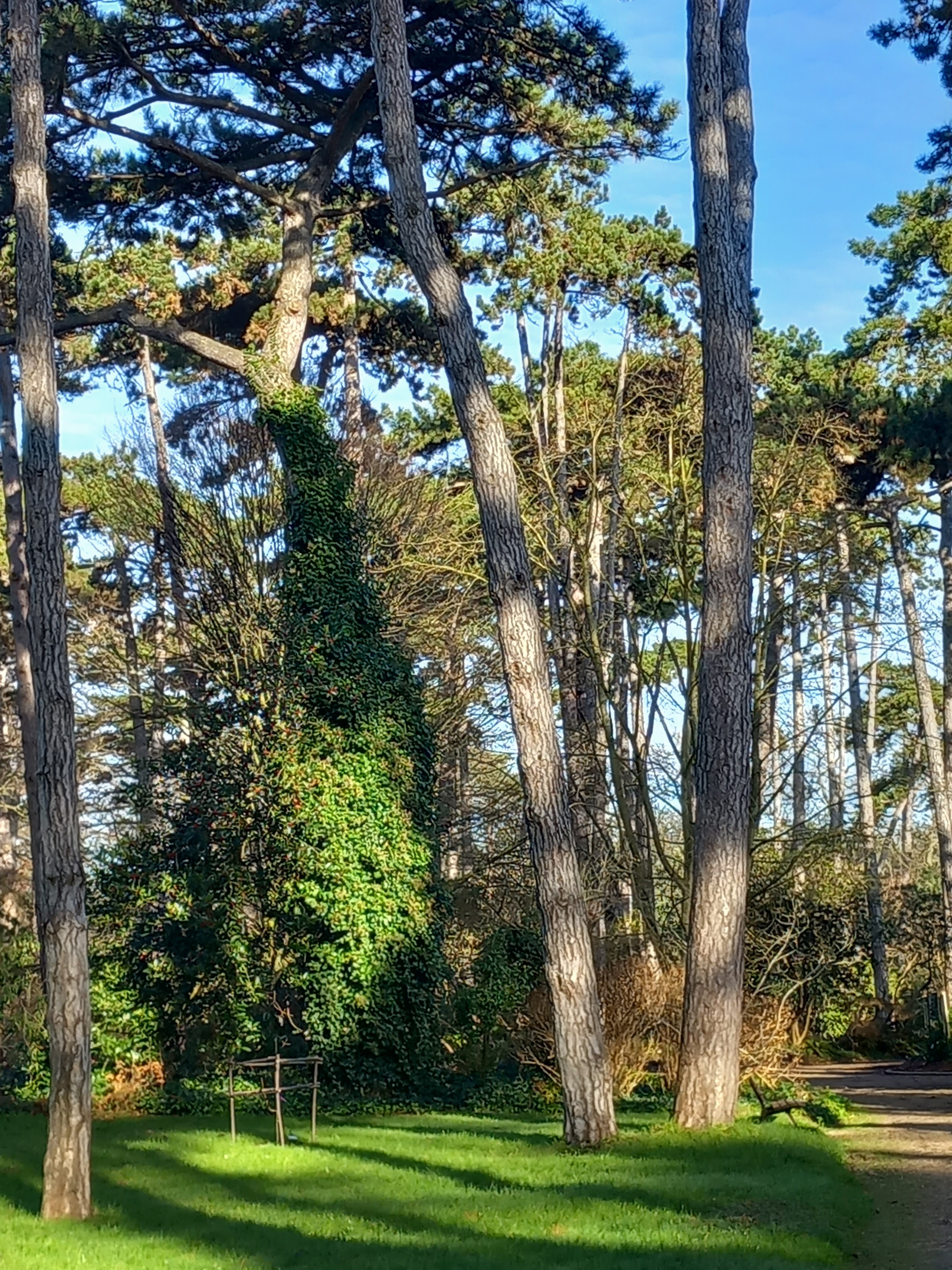 Photo n° 9 de l'avis de Loïc.o fait le 28/01/2024 à 20:24