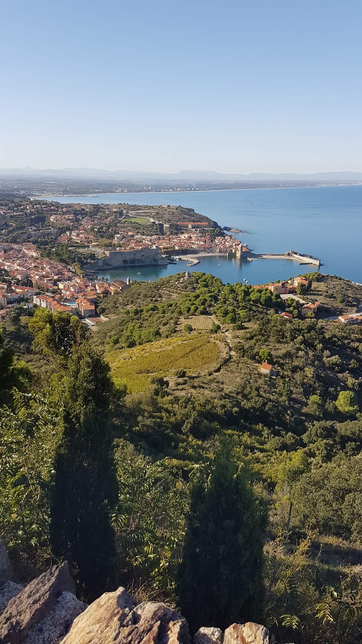 Photo n° 2 de l'avis de DAVY.a fait le 22/10/2018 à 07:09