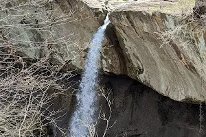 Williamsport Falls image