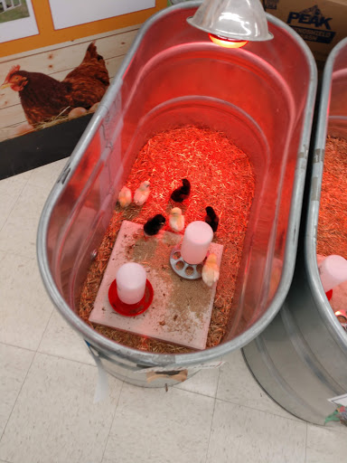 Hardware Store «Vision Ace Hardware», reviews and photos, 8538 Gunn Hwy #10, Odessa, FL 33556, USA