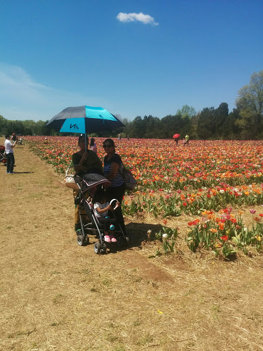 Tourist Attraction «Burnside Farms - Flower Fields», reviews and photos, 15441 Haymarket Dr, Haymarket, VA 20169, USA