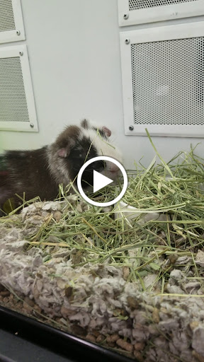 Pet Supply Store «Petco Animal Supplies», reviews and photos, 2350 Central Park Ave, Yonkers, NY 10710, USA