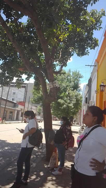 Parada De Remises A Fraile