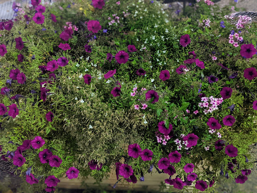 Grocery Store «Whole Foods Market», reviews and photos, 15 Westland Ave, Boston, MA 02115, USA