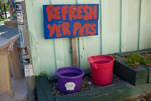 Pet Supply Store «MadCat Pet Supplies», reviews and photos, 1012 Williamson St, Madison, WI 53703, USA