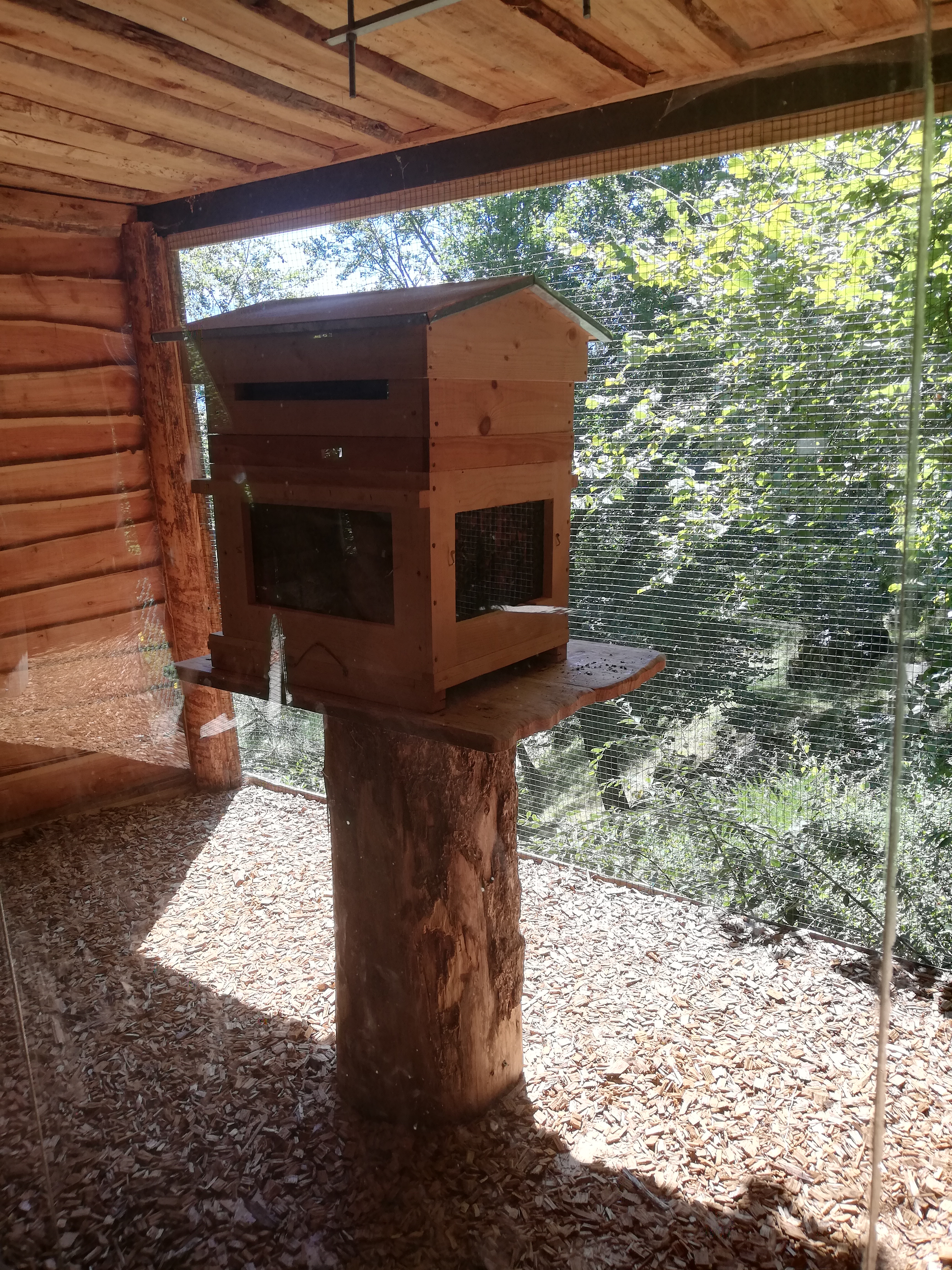 Photo n° 36 de l'avis de Soleil. fait le 20/08/2020 à 12:36