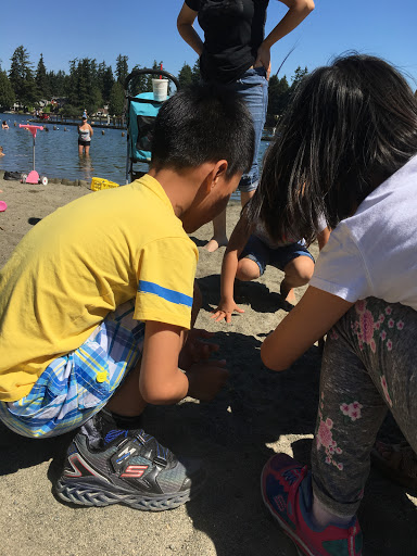 Park «Fort Dent Park», reviews and photos, 6800 Fort Dent Way, Tukwila, WA 98188, USA