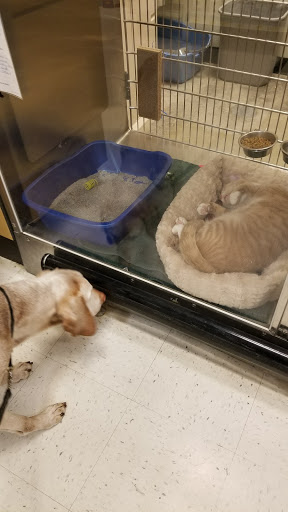 Pet Supply Store «PetSmart», reviews and photos, 1390 N Dupont Hwy, Dover, DE 19901, USA