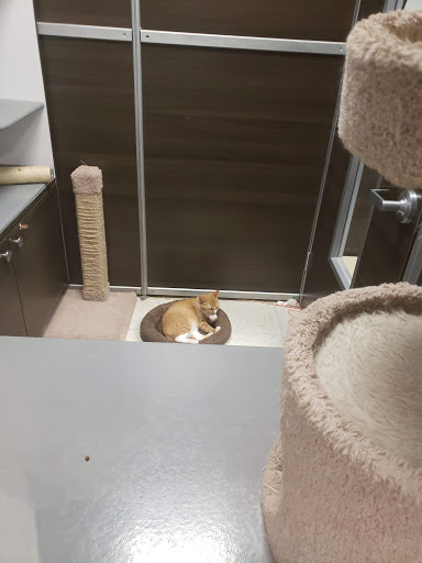 Pet Supply Store «PetSmart», reviews and photos, 3780 Riverchase Village #300, Hoover, AL 35244, USA