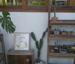 10mm. photo