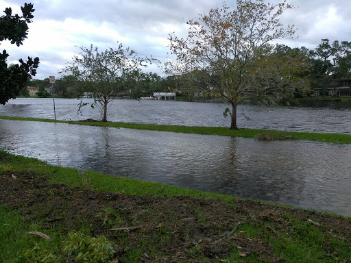 Park «Balis Park», reviews and photos, 1999 San Marco Blvd, Jacksonville, FL 32207, USA