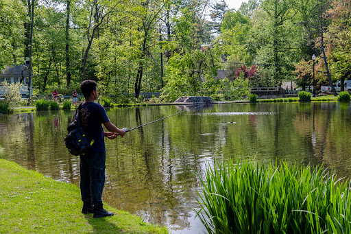 Park «Grover Cleveland Park», reviews and photos, Brookside Ave & Runnymede Rd, Essex Fells, NJ 07021, USA