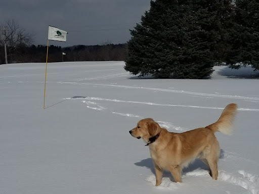 Golf Course «Huron Hills Golf Course», reviews and photos, 3465 E Huron River Dr, Ann Arbor, MI 48104, USA