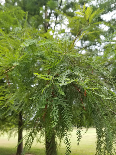 Park «Robsion Park», reviews and photos, Robsion Park Dr, Lyndon, KY 40222, USA