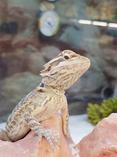 Pet Supply Store «Petco Animal Supplies», reviews and photos, 1231 Crossing Meadows Dr, Onalaska, WI 54650, USA