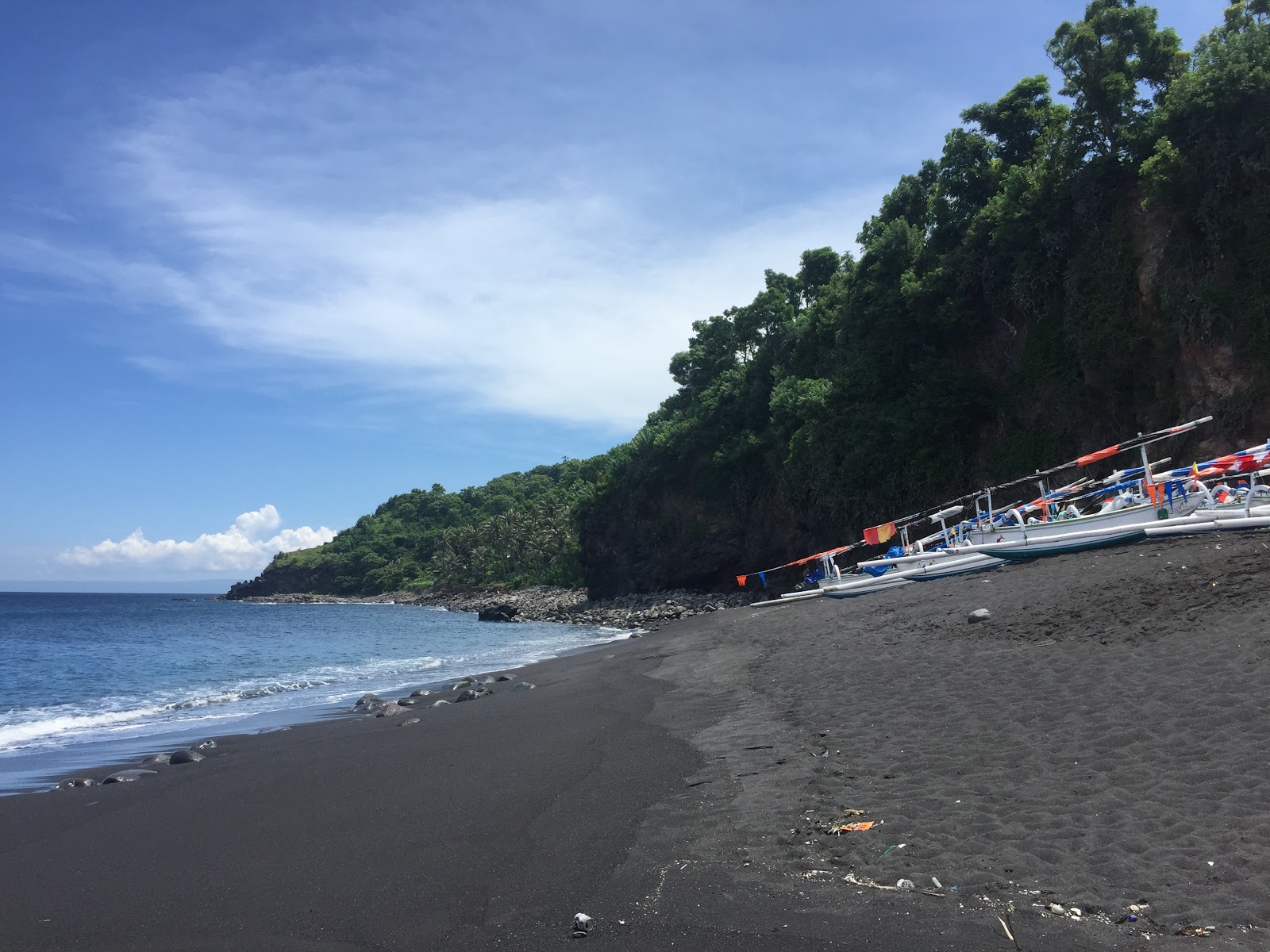 Φωτογραφία του Black Sand Beach άγρια περιοχή