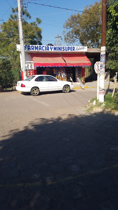 Farmacia Y Minisuper Fabiola, , San Martín Totolán