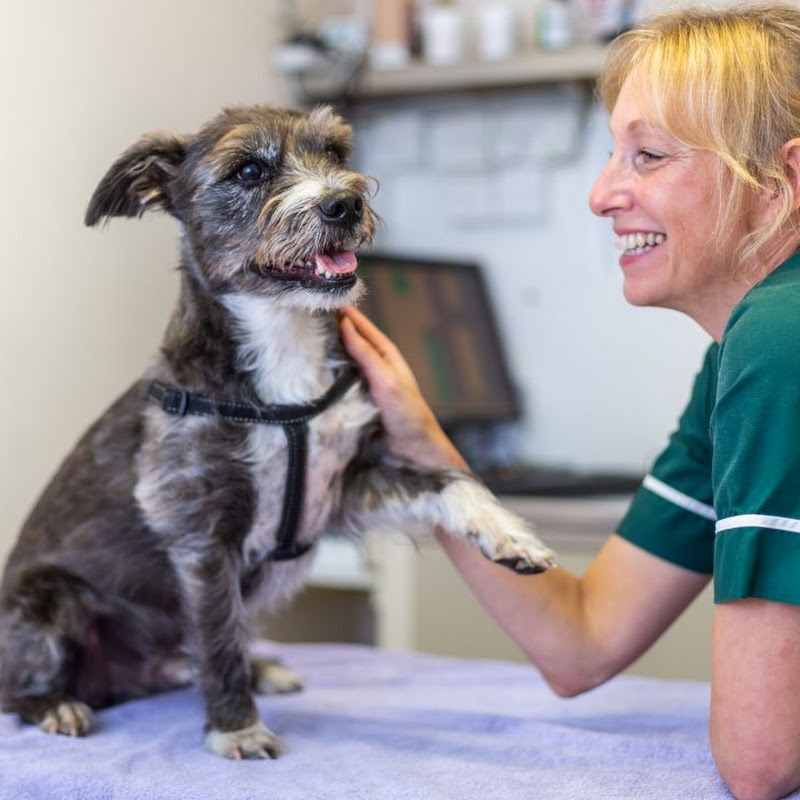 Midland Veterinary Surgery