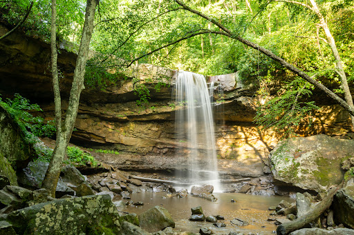 Ohiopyle State Park