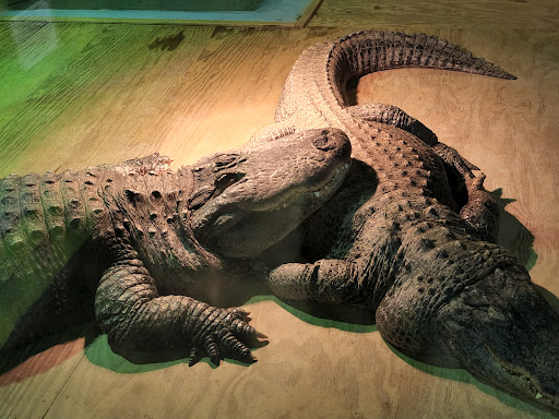 Zoo «Luray Zoo A Rescue Zoo», reviews and photos, 1087 U.S. 211, Luray, VA 22835, USA